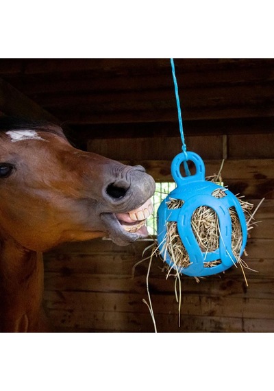 Horsemen's Pride Atlar İçin Jolly Hay Ball Stall Oyuncak, Mavi, 20 Cm