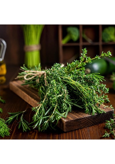 Zevli Canlı Aromatik Mutfak Bitkileri Biberiye Fidesi