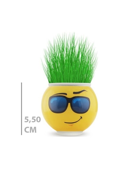 Çim Adam Saksı Emoji Figürlü 1 Adet Çok Renkli