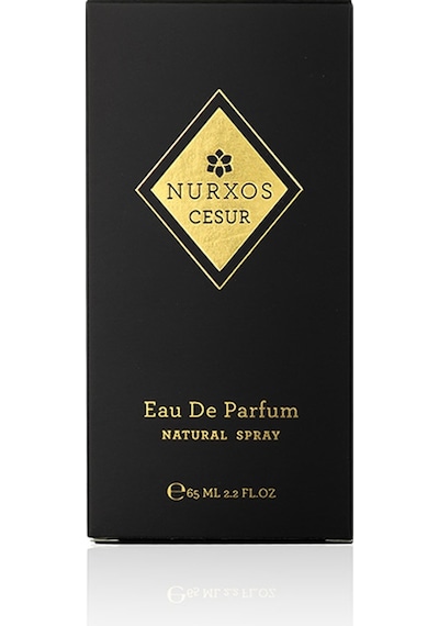 Nurxos 9788 Cesur Erkek Parfümü 8681124697882 65 ML