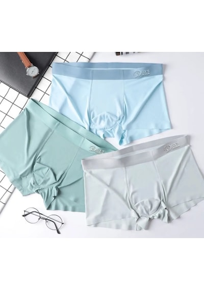 Ece's Design Dikişsiz Buz Ipek Boxer 3 Parça M1010 Açık Mavi-açık Yeşil-açık Gri