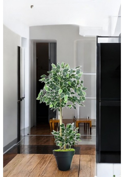 150 Cm Ficus Yapay Ağaç Bambu 2 Gövdeli Siyah Plastik Saksı Yeşil