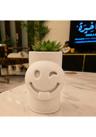 3d Baskı Emoji Planter - Göz Kırpan Yüzlü Sukulent Saksısı-beyaz Çok Renkli