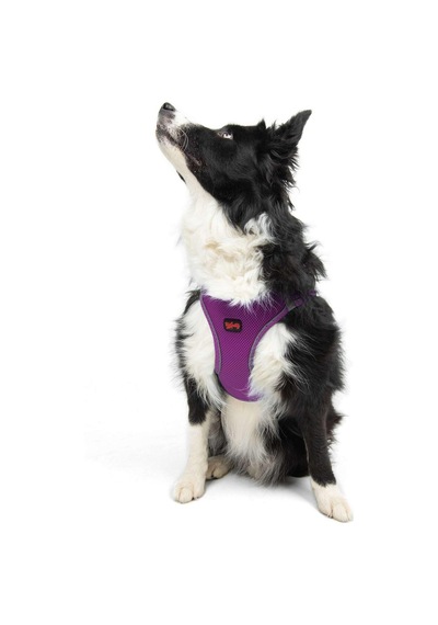 Tailpetz Air-mesh Küçük Ve Orta Irk Kedi Köpek Göğüs Tasması - Yumuşak, Nefes Alabilir, Dayanıklı Mor, Xlarge Sku: Zeusb097lr5185 Açık Bej - Bej