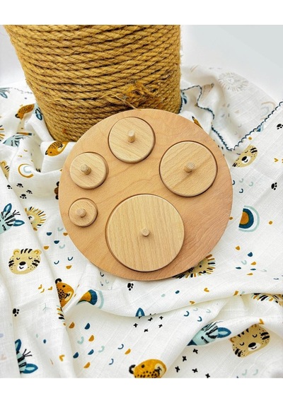 Montessori Geometrik Daire Bulmaca Ve Özel Eğitim Seti