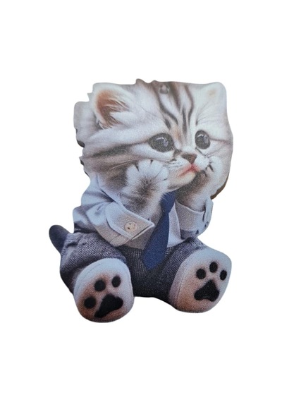 Kedi Amahtarlık Ve Araba Dikiz Ayna Süsü Sevimli