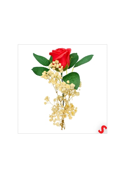 Pvc Kutulu Cipsolu Yapay Kırmızı Gül - 25cm X 7cm