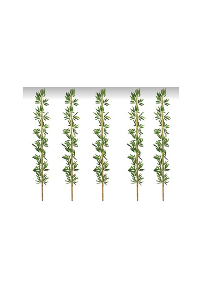Rüzgar Yapay Çiçekçilik 2 Metre 5 Adet Bambu Yeşil
