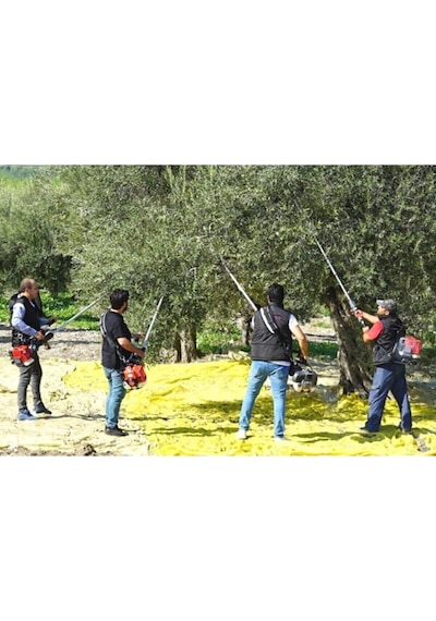 Sp-1000e Italyan Oleomac - Zeytin Hasat Makinesi El-sp1000