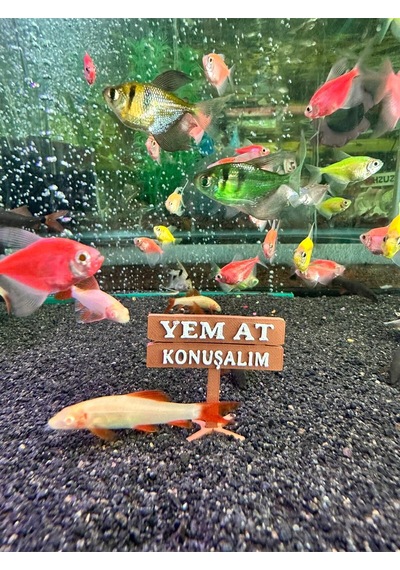 Akvaryum Tabela Dekoru Yem At Konuşalım 4.5x5 Cm Suya Batan Model Tbl-45-yem, One Size