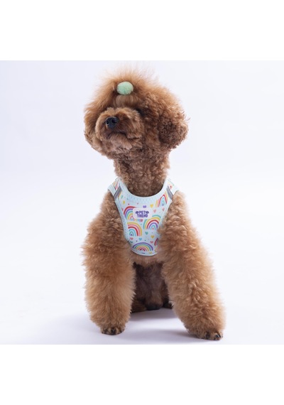 Joyful Colors Göğüs Tasması Ve Sevk Kayışı Tasma Seti Gökkuşağı Desenli Kedi Köpek Göğüs Tasması Seti Mavi