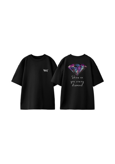 Thewert Pink Floyd Shine On You Tasarım Sırt Baskılı Pamuk Siyah Oversize T-shirt