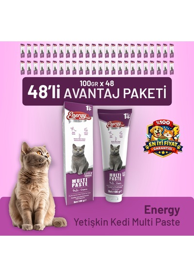 Yetişkin Kedi Multi Paste 100 G - 48 Adet