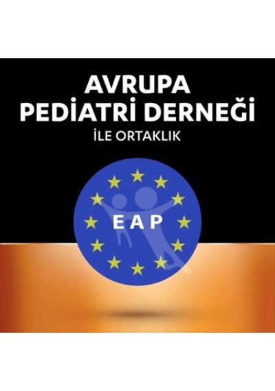 1'li Lityum Düğme Pil, 2450 Modeli