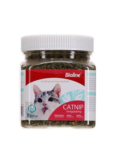 Catnip Kedi Otu 20 Gr