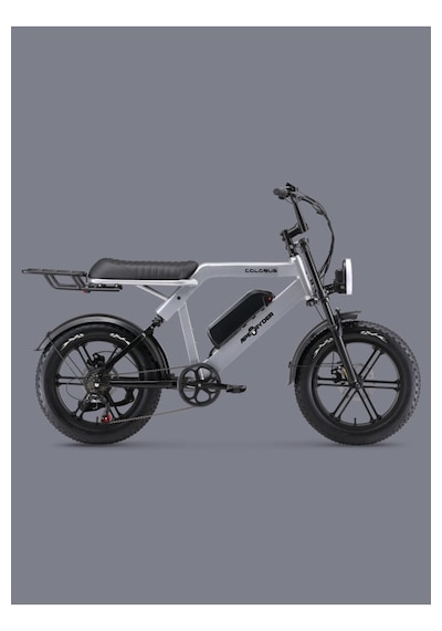 Ape Ryder Colobus Elektrikli Bisiklet 750w - Gri