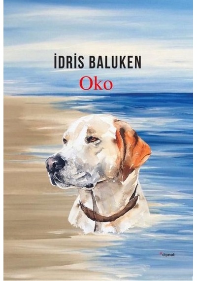 Oko - İdris Baluken - Dipnot