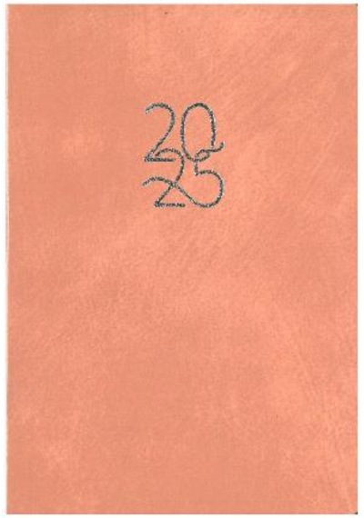 Özkan 2025 Günlük Cep Ajandası 9x13 Yavru Ağzı Esnek Kapak Yavruağzı