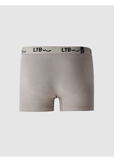 Ltb Basıc Erkek Boxer Gri 540130418
