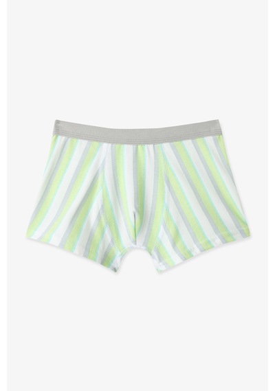 Penti  Renkli Erkek Çocuk Dino 3'lü Boxer