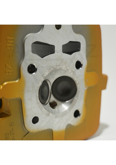 Cg 150 Üst Kapak Gold Çita 001