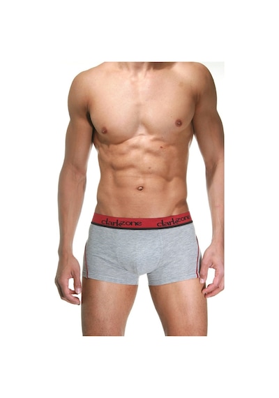 Darkzone Gri Erkek Boxer - Dzn3103