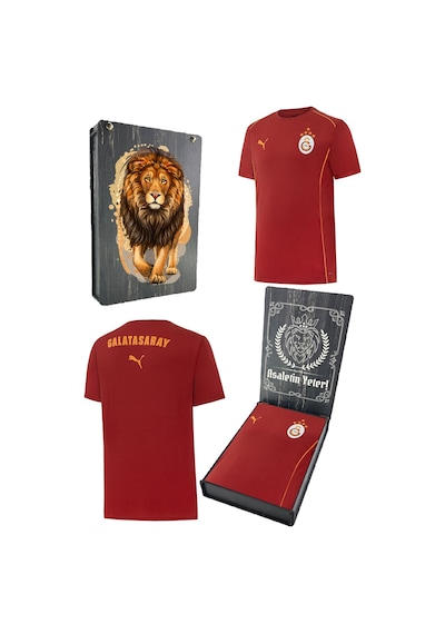 Galatasaray Orijinal Lisanslı Sıfır Yaka Kırmızı Antrenman 5 Yıldızlı T-shirt Gs Aslan Baskılı Hediyelik Ahşap Kutulu Sarı - Kırmızı Galatasaray Orijinal Lisanslı Sıfır Yaka Kırmızı Antrenman 5 Yıldızlı T-shirt Gs Aslan Baskılı Hediyelik Ahşap Kutulu Sarı - Kırmızı