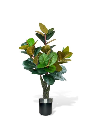 Yapay Ağaç Kauçuk Ağacı Metal Gümüş Kemerli Saksıda Ficus Elastica Salon Çiçeği 150*90 61 Yaprak