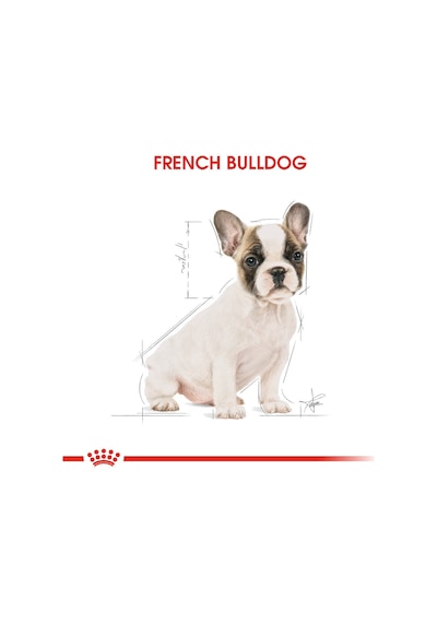Royal Canin French Bulldog Junior Yavru Köpek Maması 3 KG