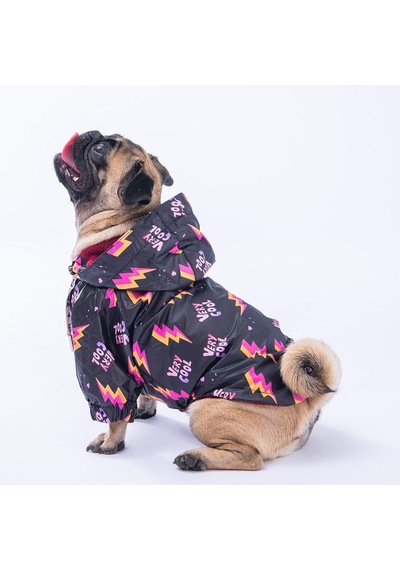 Pawstar Cool Yağmurluk Küçük Ve Orta Irk