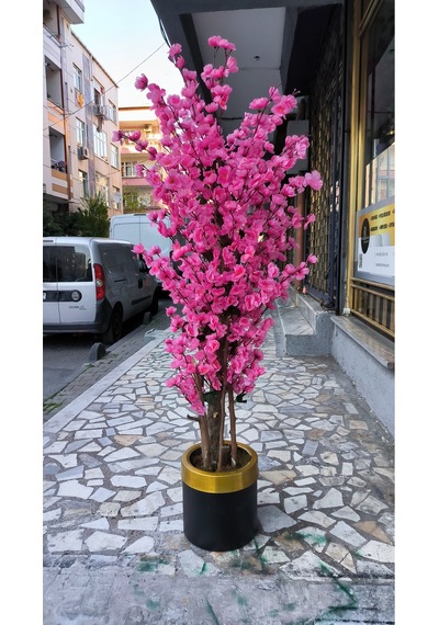 Rüzgar Yapay Çiçekçilik 140 Cm 25x25 Saksıda Pembe Bahardalı Pembe
