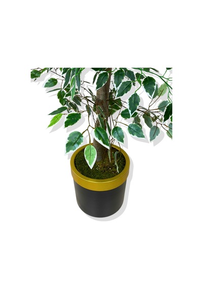 Cihan Çiçekçilik Ficus 160 Cm Yapay Ağaç 30x25 Gold Kemerli Saksı Beyaz- Yeşil
