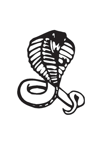 Cobra Folyo Sticker 60cm Uzunluk Siyah