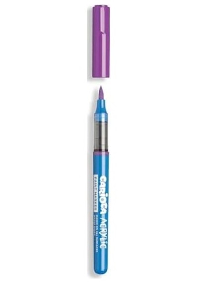 Akrilik Paint Marker Su Bazli Fırça Uçlu 10&apos Lu