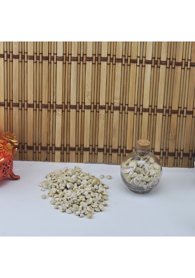 Umbinium Beyaz Kiloluk Deniz Kabuğu 1 Kg