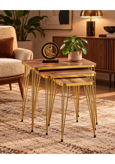 Odera Gold Ceviz Zigon Sehpa 3'lü Set Metal Tel Ayaklı Modern Retro Salon Sehpası Diğer