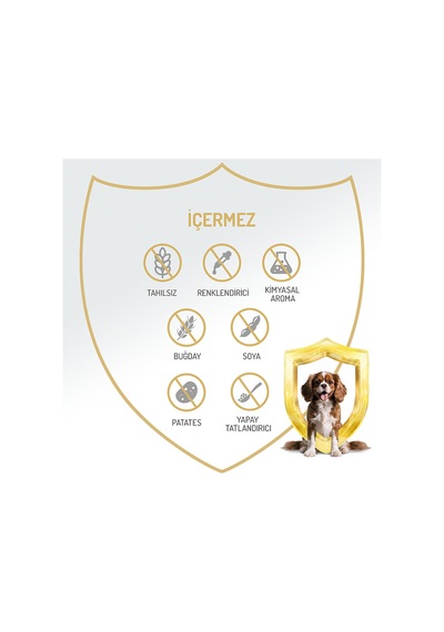 %97 Proteinli Tahılsız Kuzulu Ezme Yetişkin Küçük Irk Köpek Konserve Maması 400 Gr X 2 Adet
