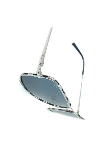 Salvatore Ferragamo Sf278S C60 Erkek Güneş Gözlüğü
