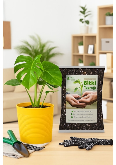 Saksı Değişim Seti 10 Litre Böcek Sinek Yapmayan Organik Çiçek Toprağı + 9,5 Litre Dekoratif Saksı