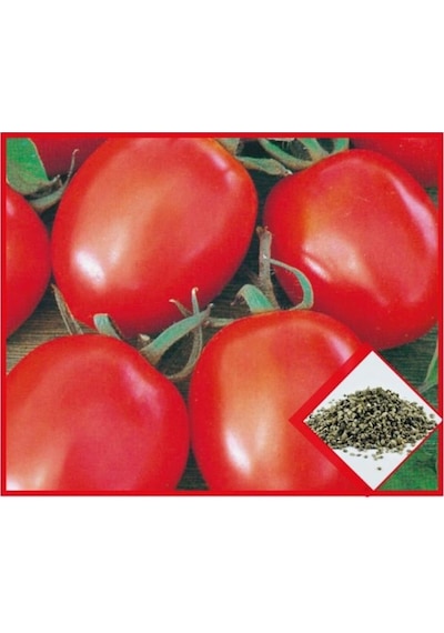 Arzuman Sebze Rio Grande Domates Tohumu 5 Gram