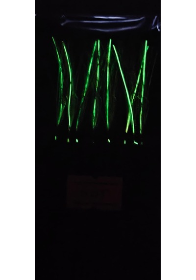 Çapari Alemi Üst Kalite Glow Simler İle Ultra Uv Palyaço Kombin