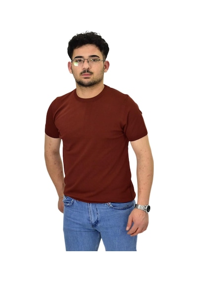 Raymons Erkek Triko Sıfır Yaka Tişört P6035 Bgl-st04505 Tarçın