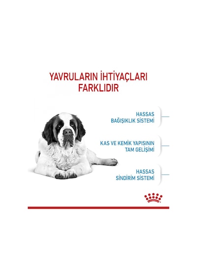 Royal Canin Giant Junior Dev Irk Yavru Köpek Maması 15 KG