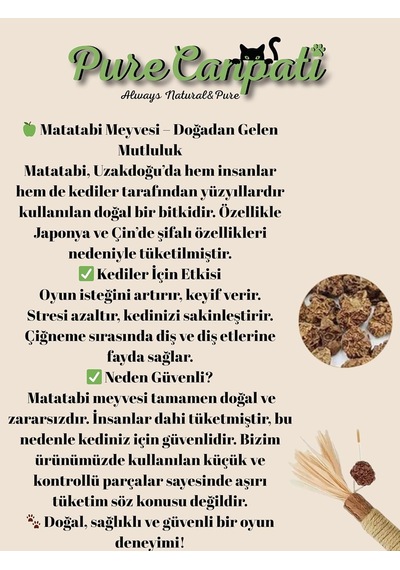 Purecanpati Kedi Naneli Matatabi Çubuğu Kediler Için Doğal Oyun Ve Mutluluk 3 Adet