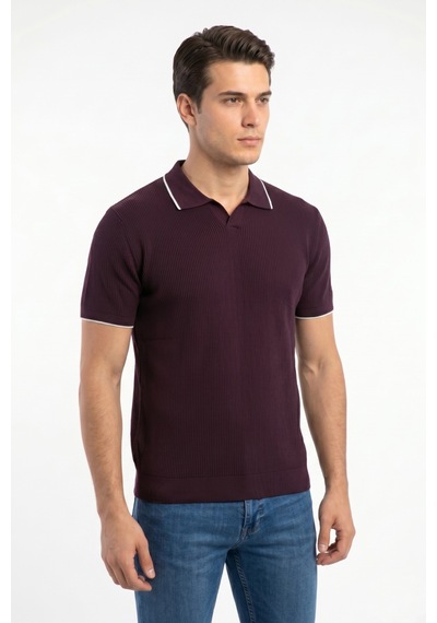 Baglan Erkek Spor Polo Yaka Triko Tişört Bgl-st05374 Mürdüm