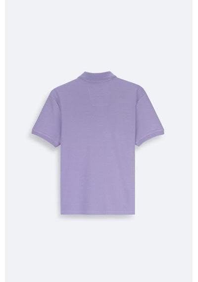 Avva Erkek Lila Kıvrılmaz Polo Yaka %100 Pamuk Basic Regular Fit T-shirt B001032 Avva Erkek Lila Kıvrılmaz Polo Yaka %100 Pamuk Basic Regular Fit T-shirt B001032