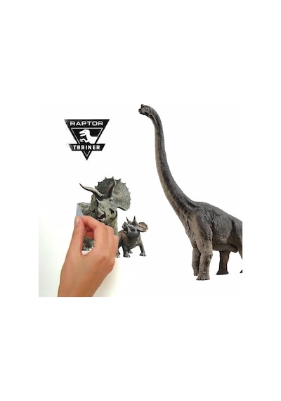 Lexroo Fallen Kingdom Soy Ve Yapıştır Duvar Çıkartmaları, Roommates'ten Rmk3798scs Çok Renkli