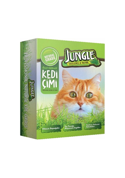 Jungle Fileli Kedi Çimi