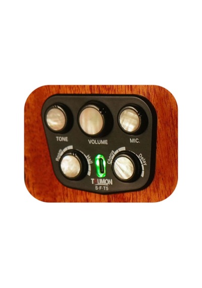 Trumon Wing 980tf-s5 Elektro Akustik Gitar