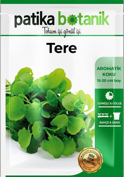 4.000 Adet Yerli Ata Tere Tohumu
